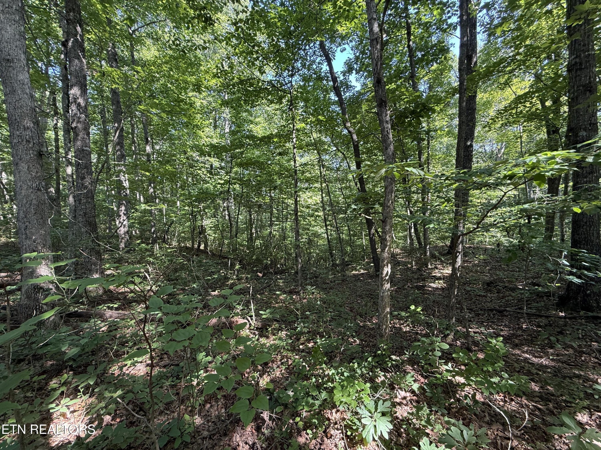 2 E Cove Rd