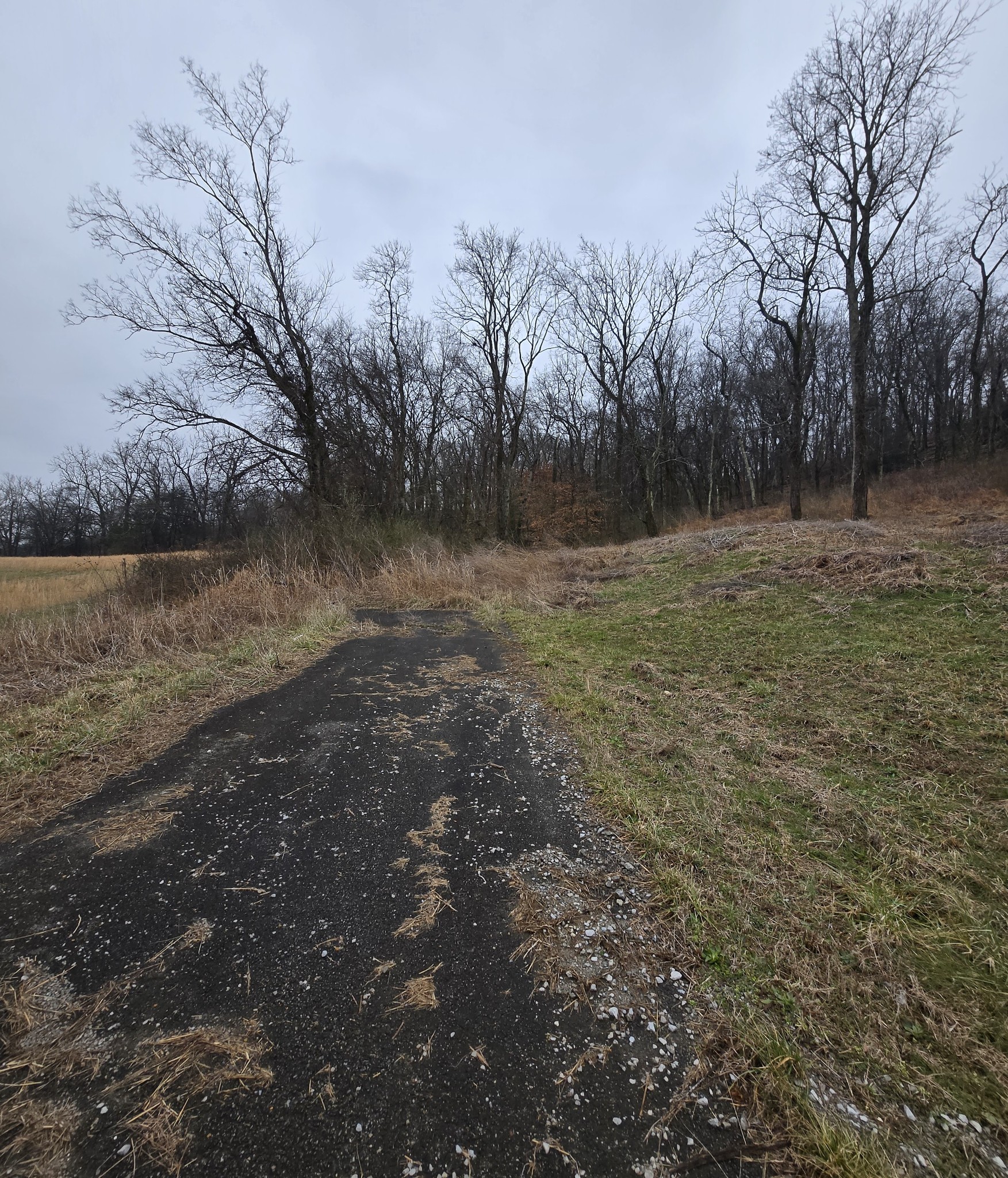 22241 Hwy 64