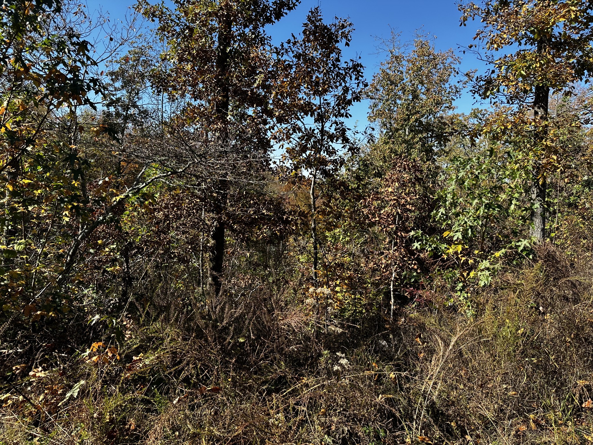 0 Ridge Top Rd
