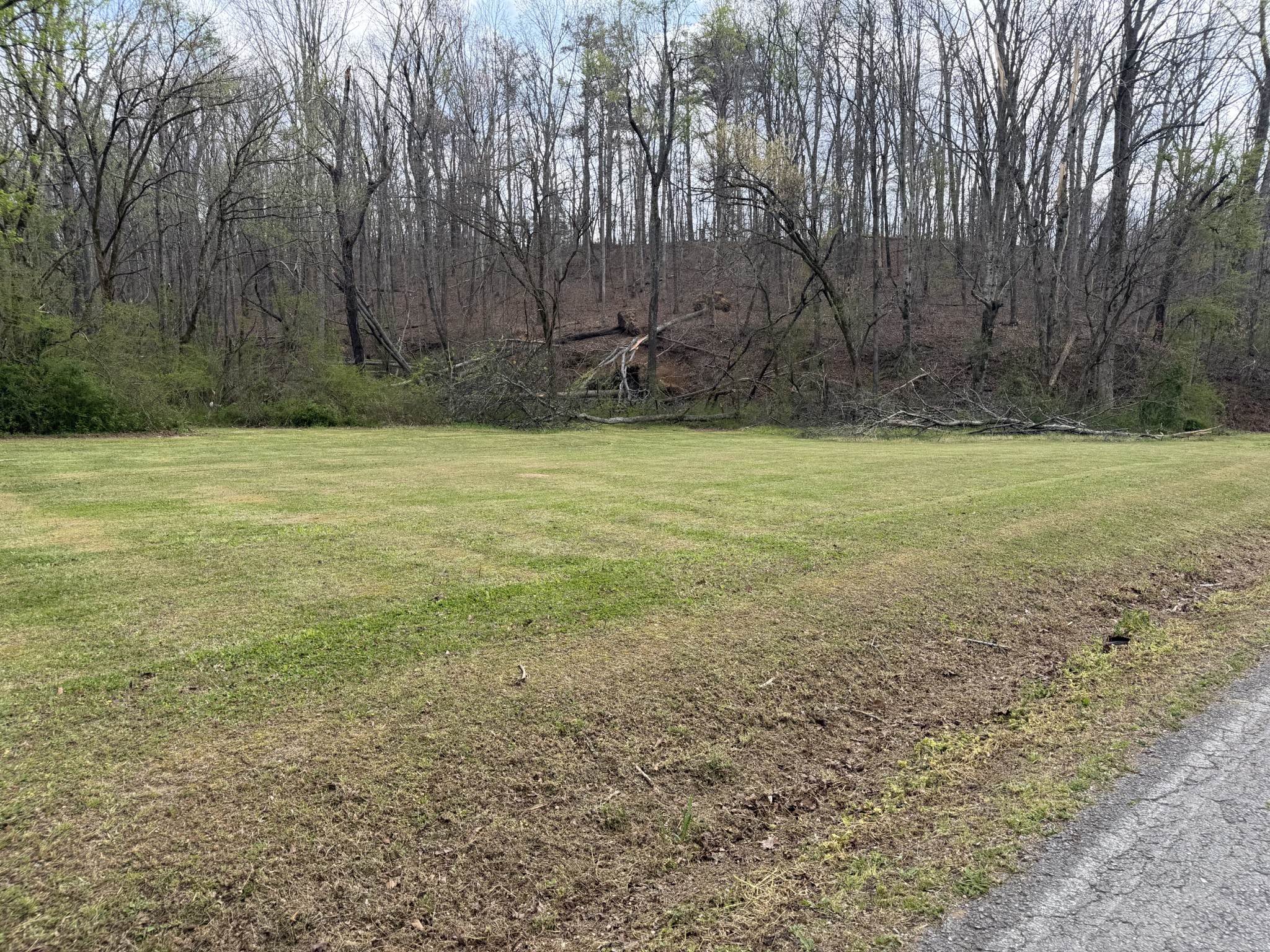 417 Trace Creek Rd