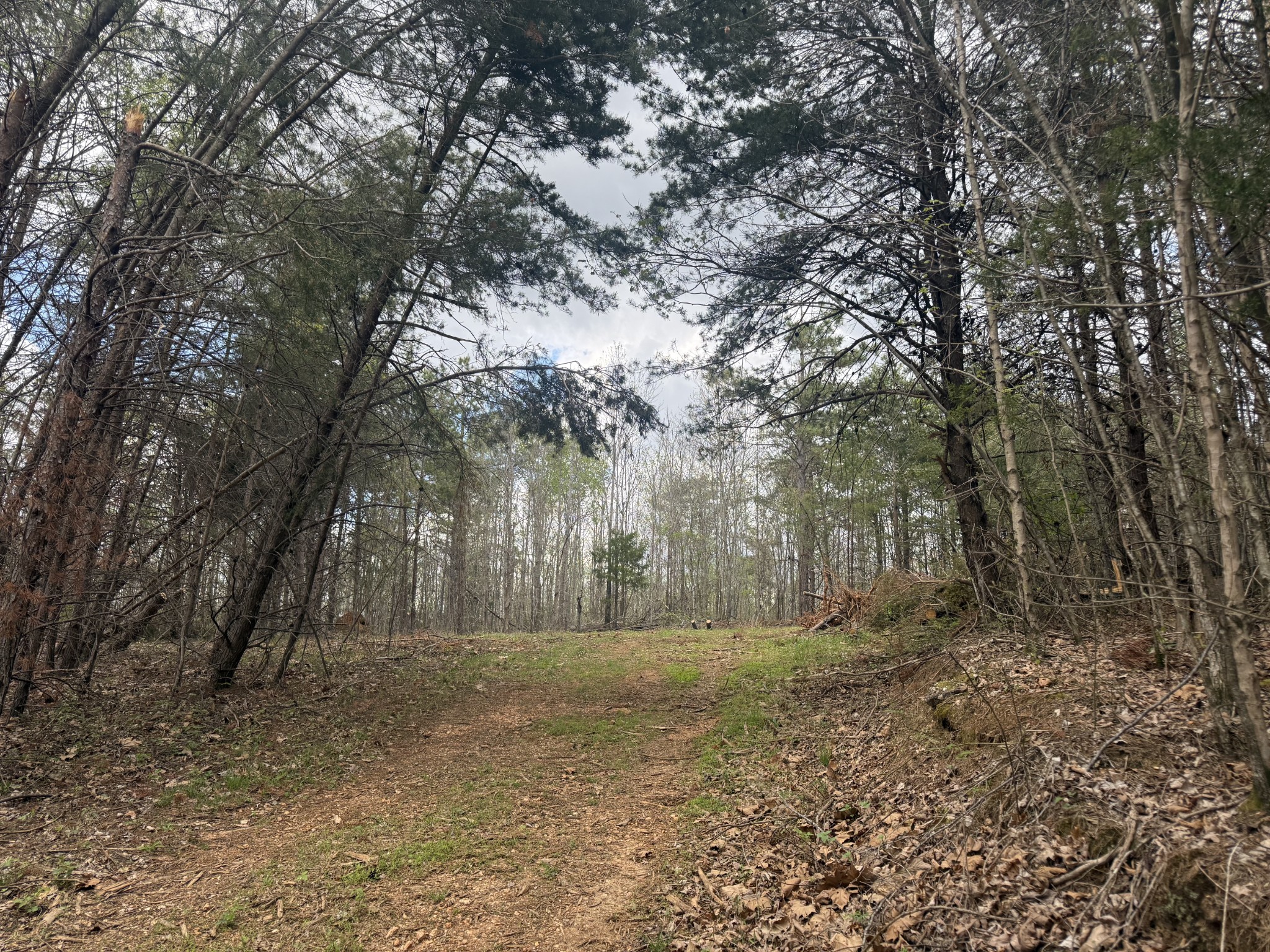0 Allens Creek Rd