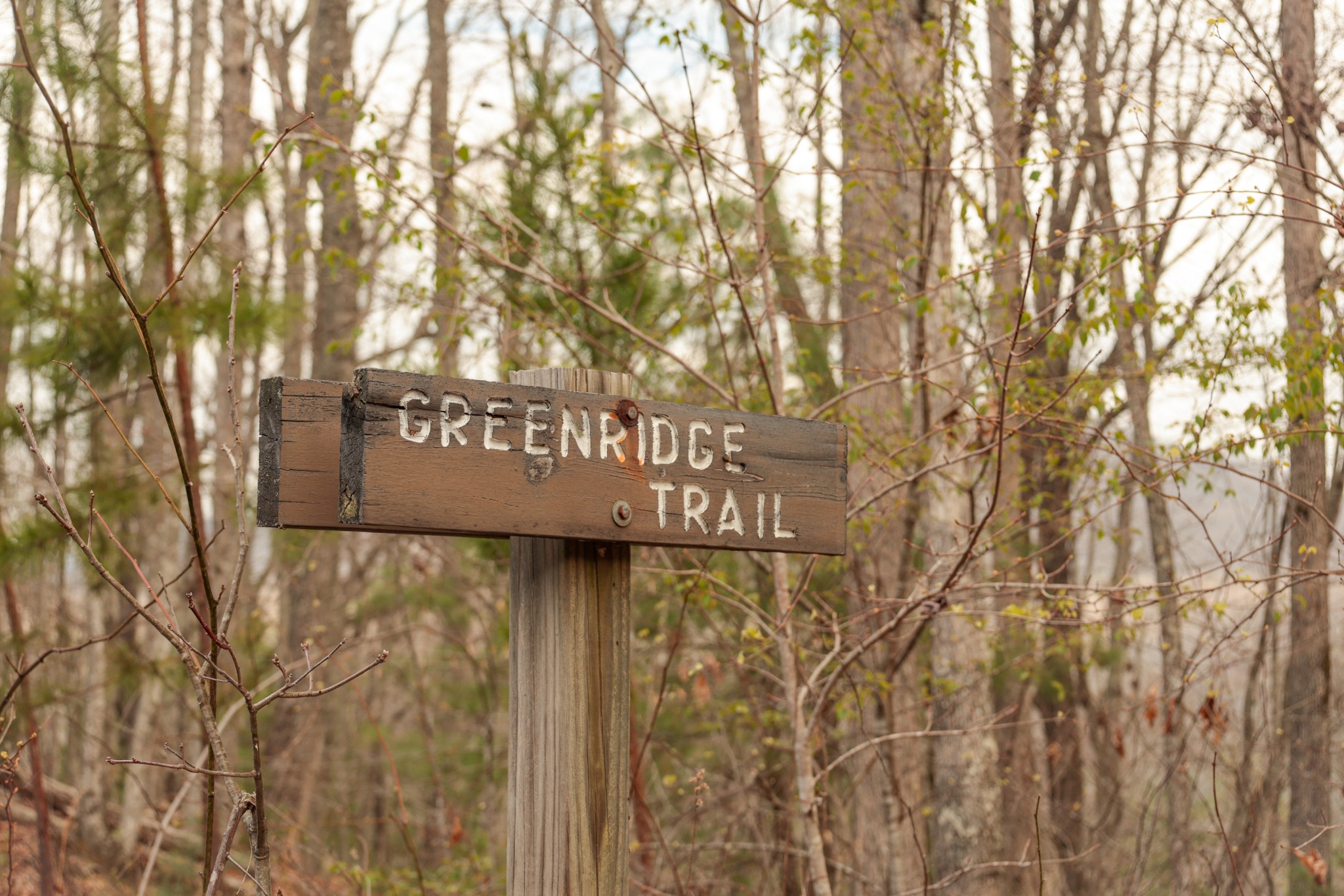 0 Green Ridge Trail