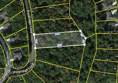 181 Pineridge Loop