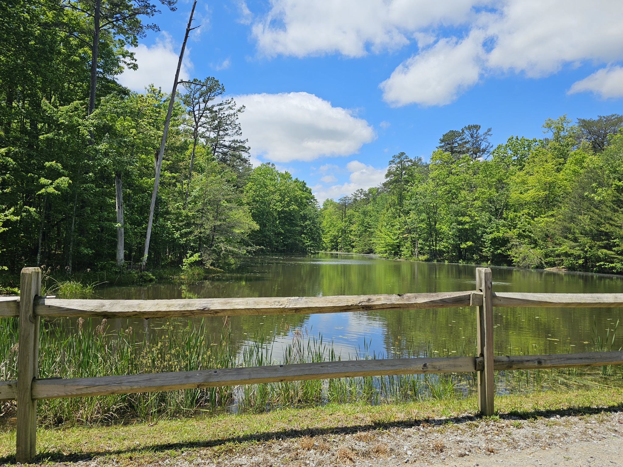 6 Beechwood Trail