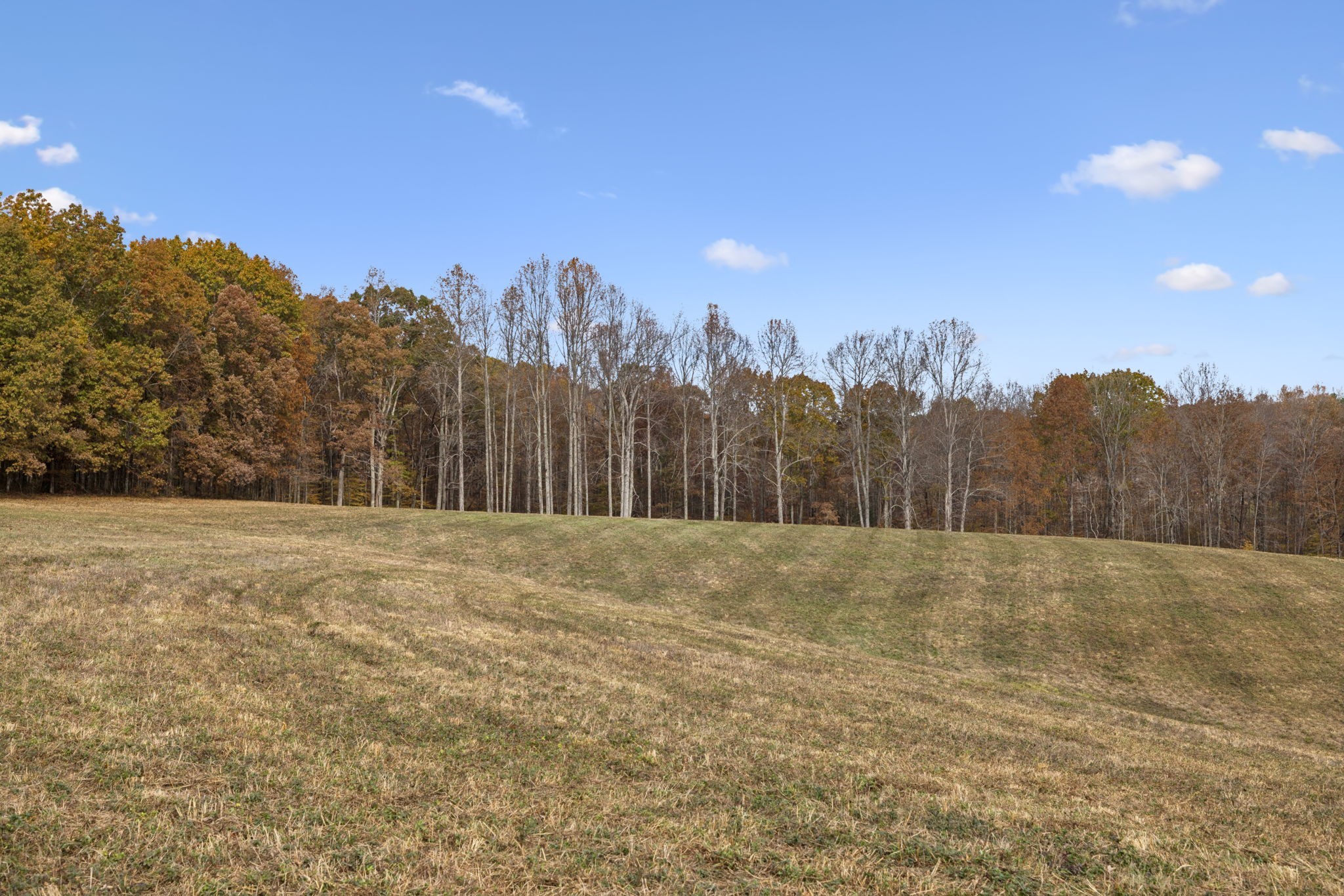 5515 Old Hwy 96
