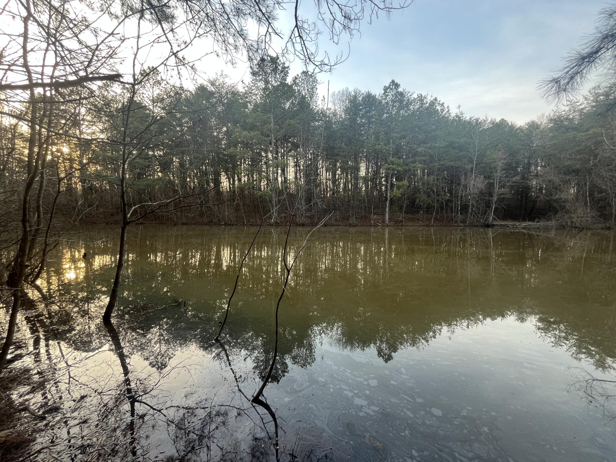 396 County Road 778