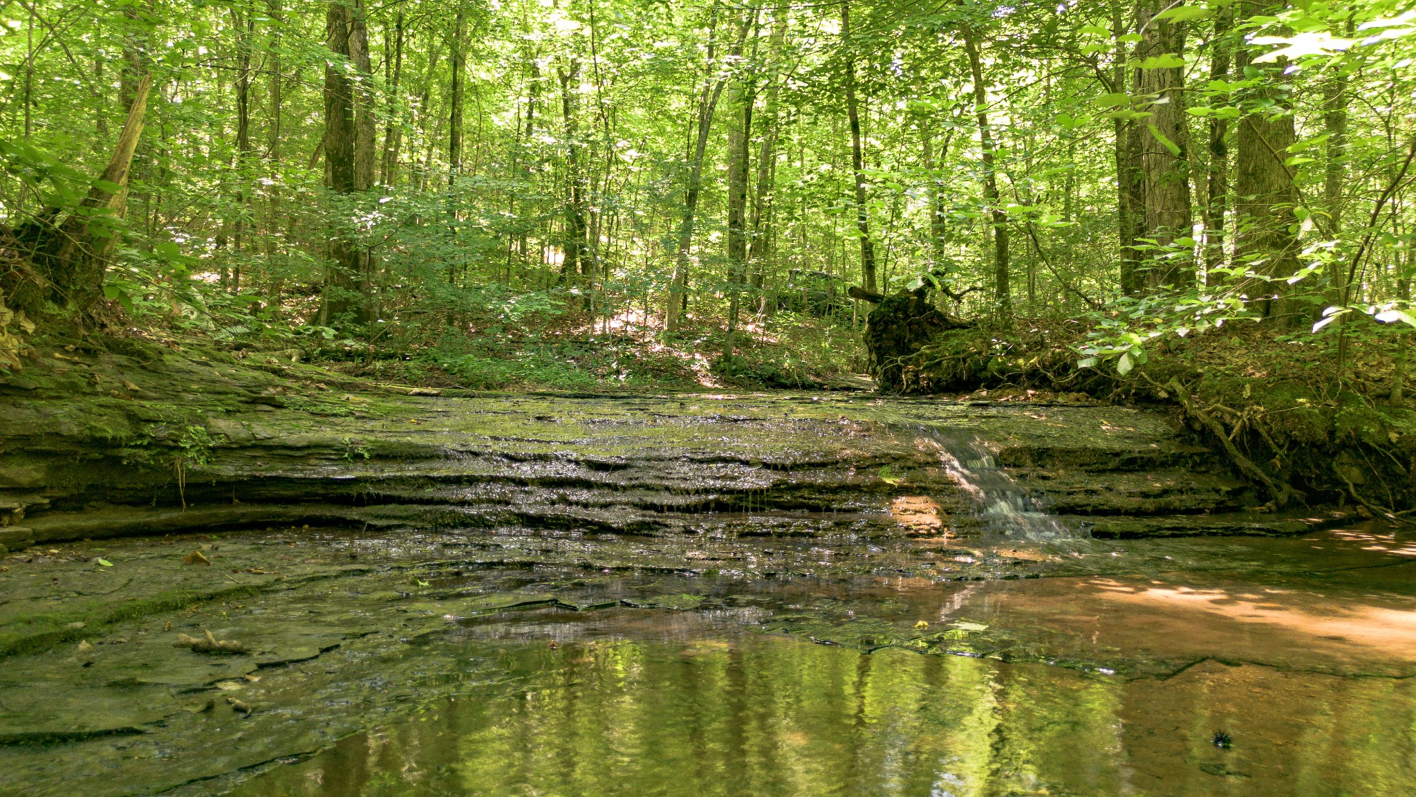 8218 Old Pond Creek Rd