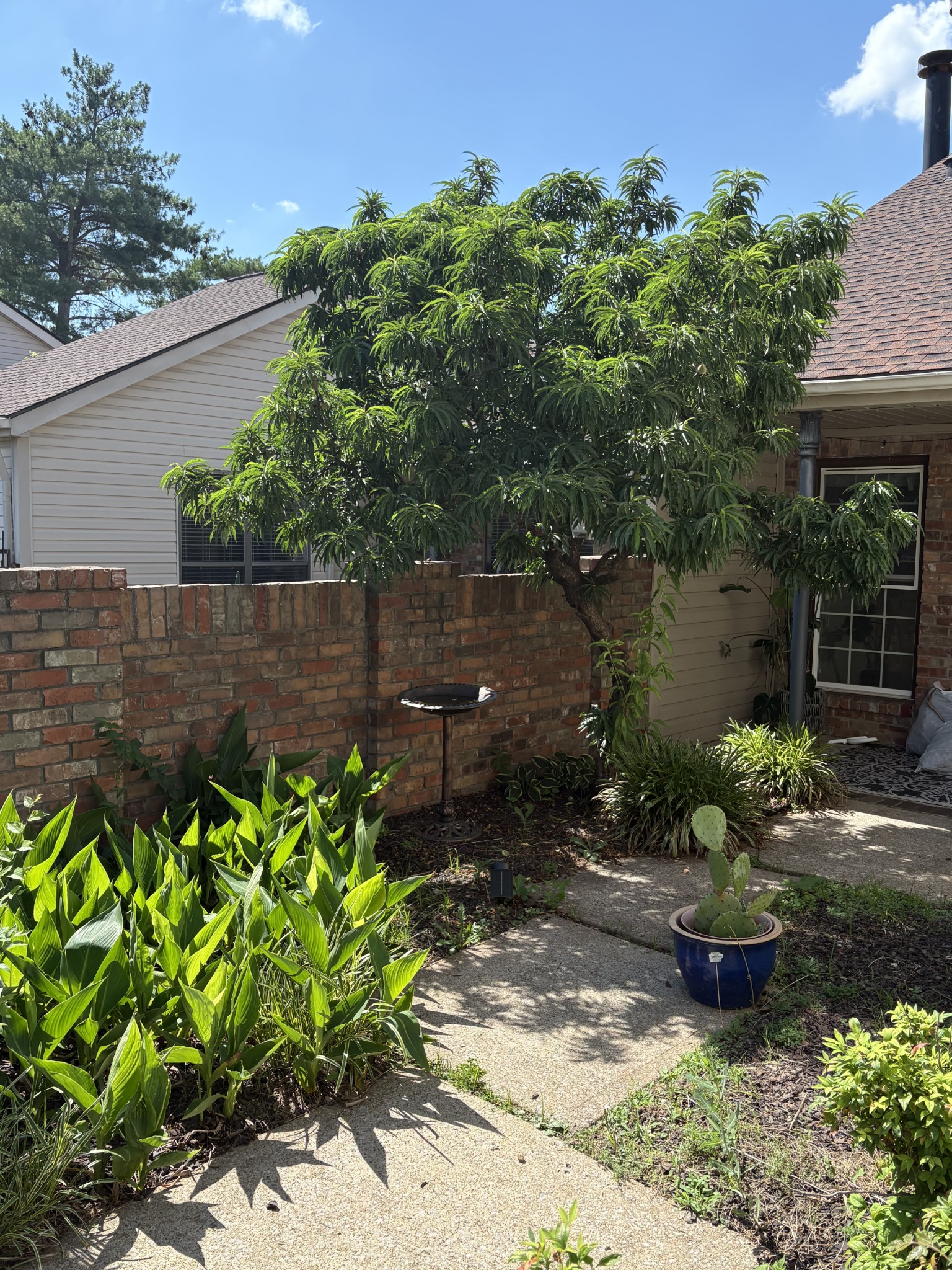 404 Laurel Hill Dr