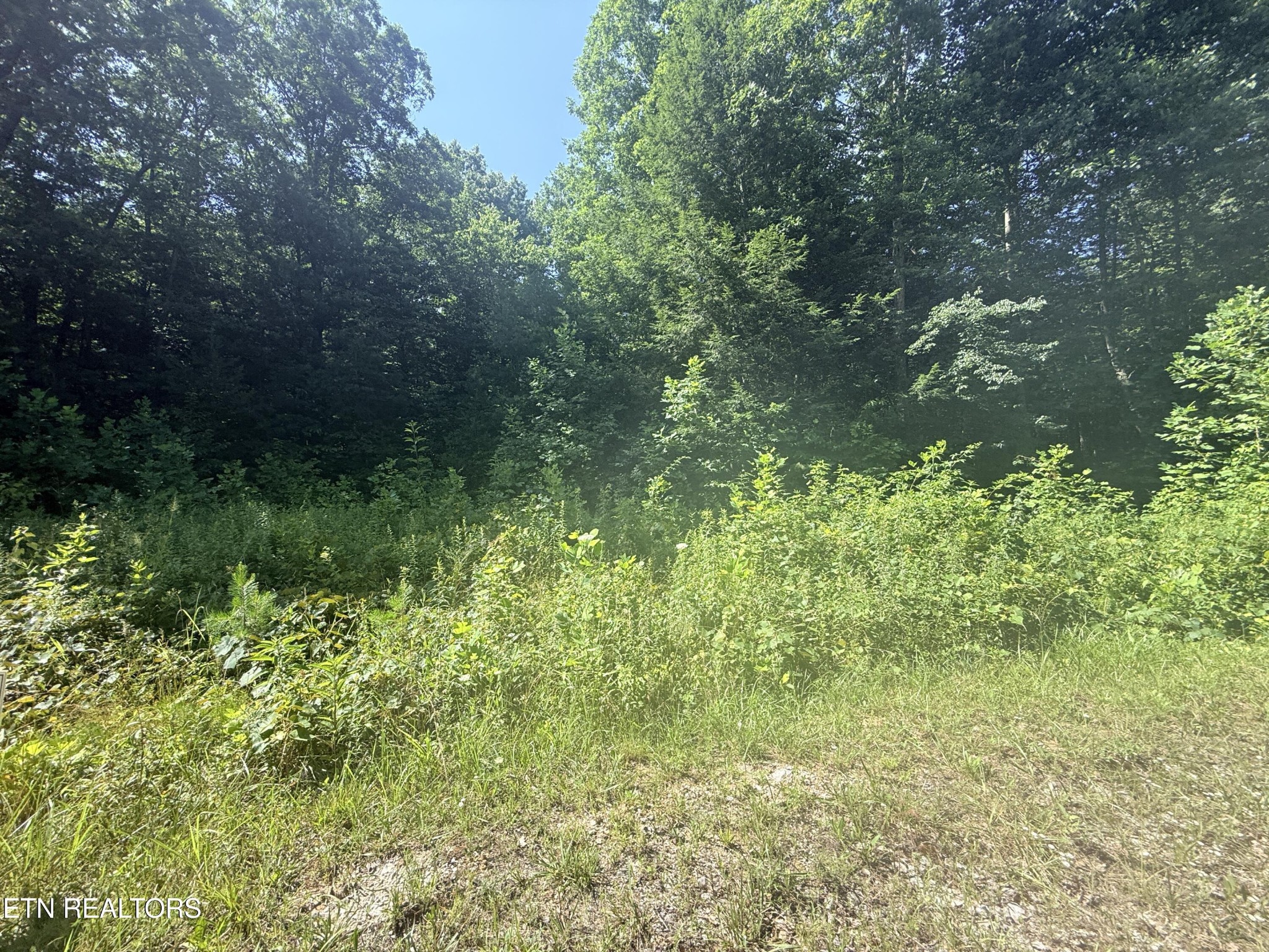760 Dubose Drive