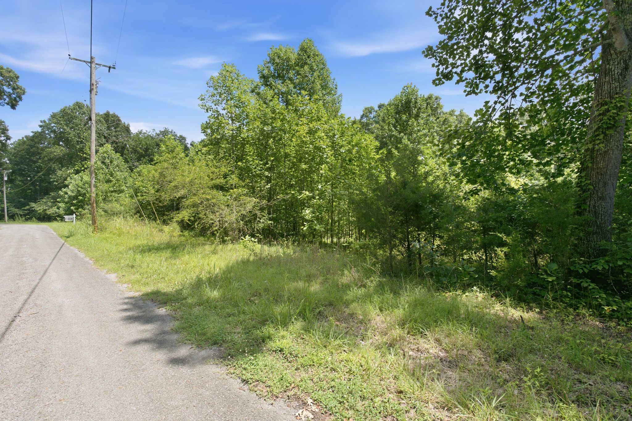 0 Trailwood Court