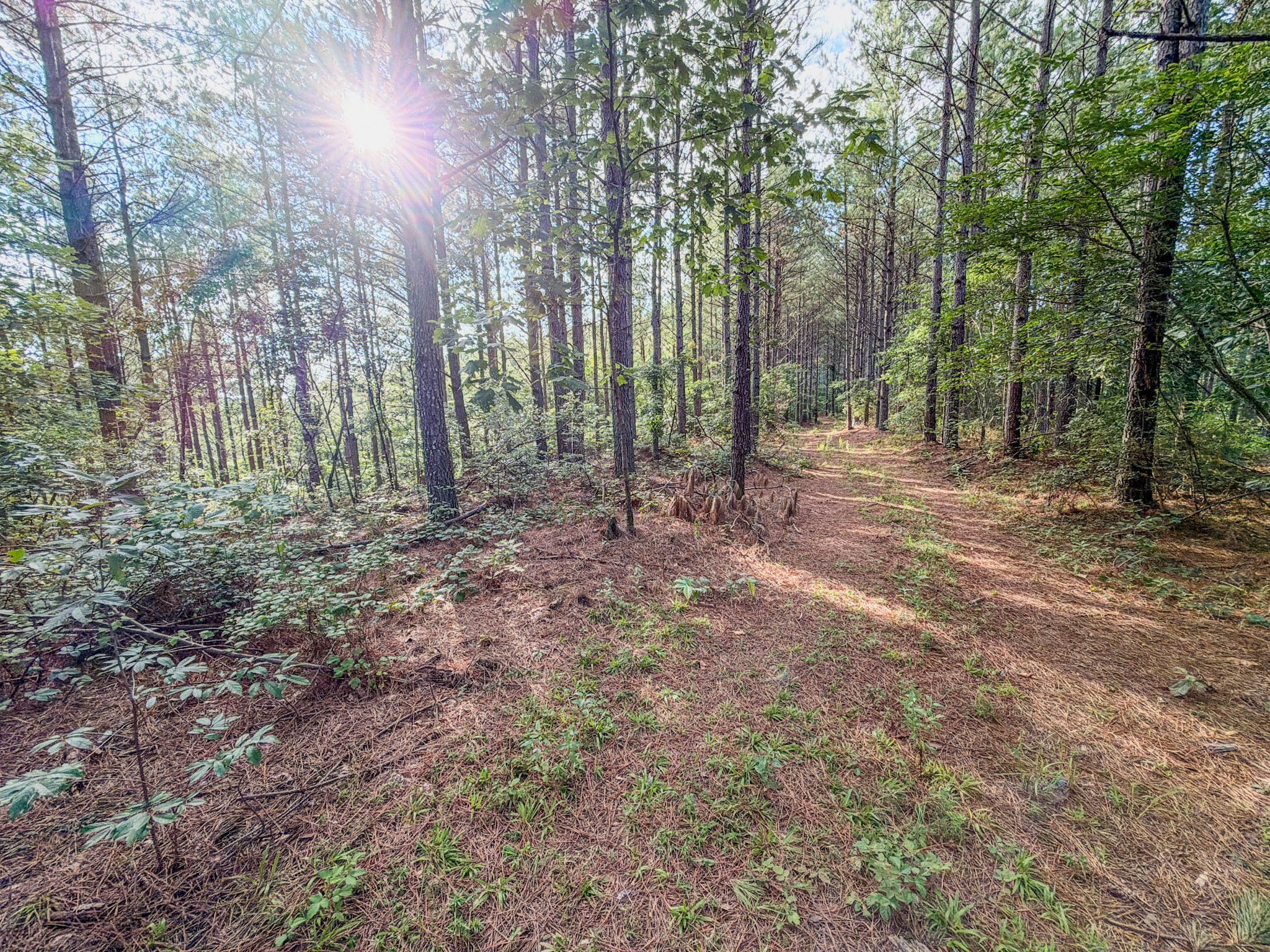 164 Center Ridge Dr