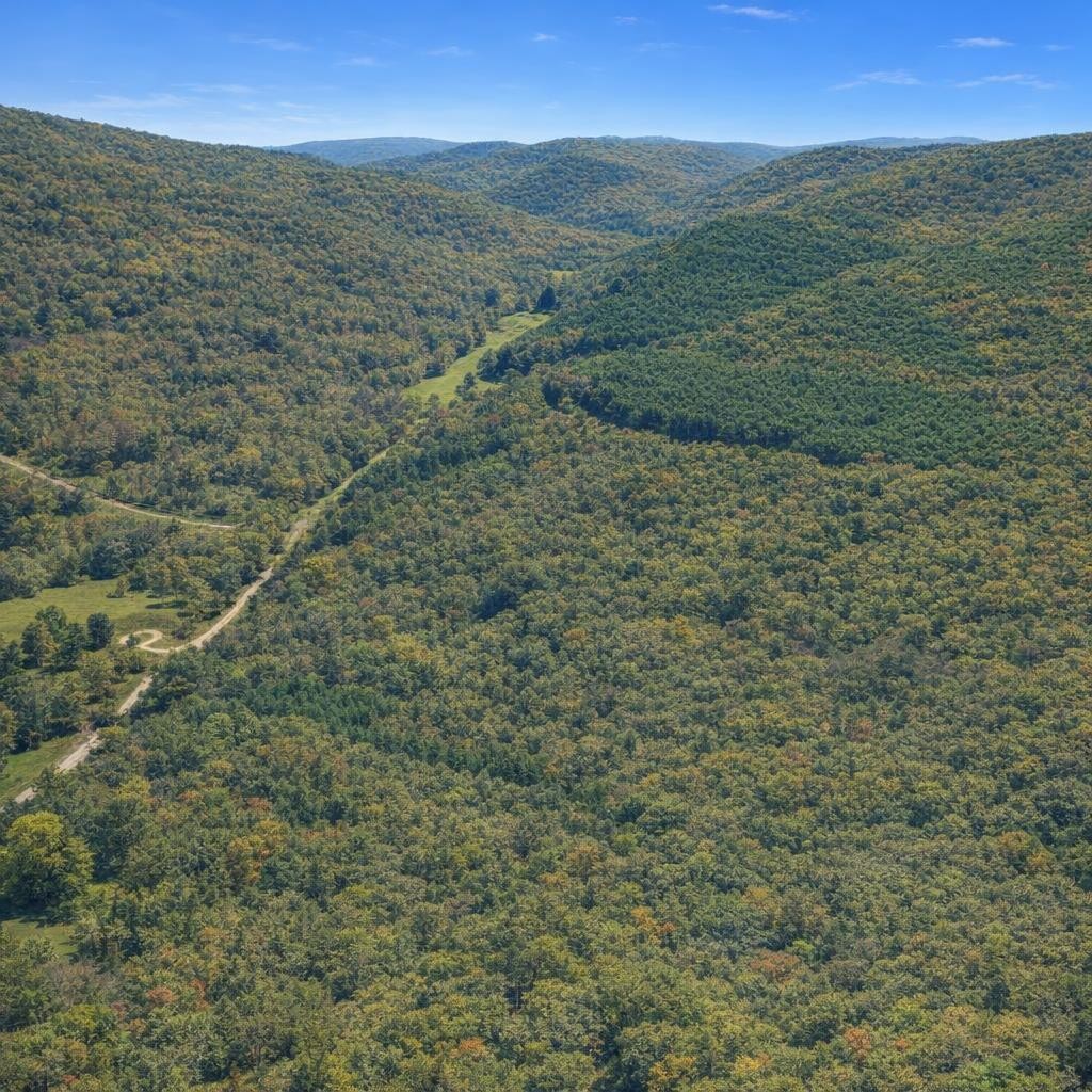 0 Brush Creek Rd