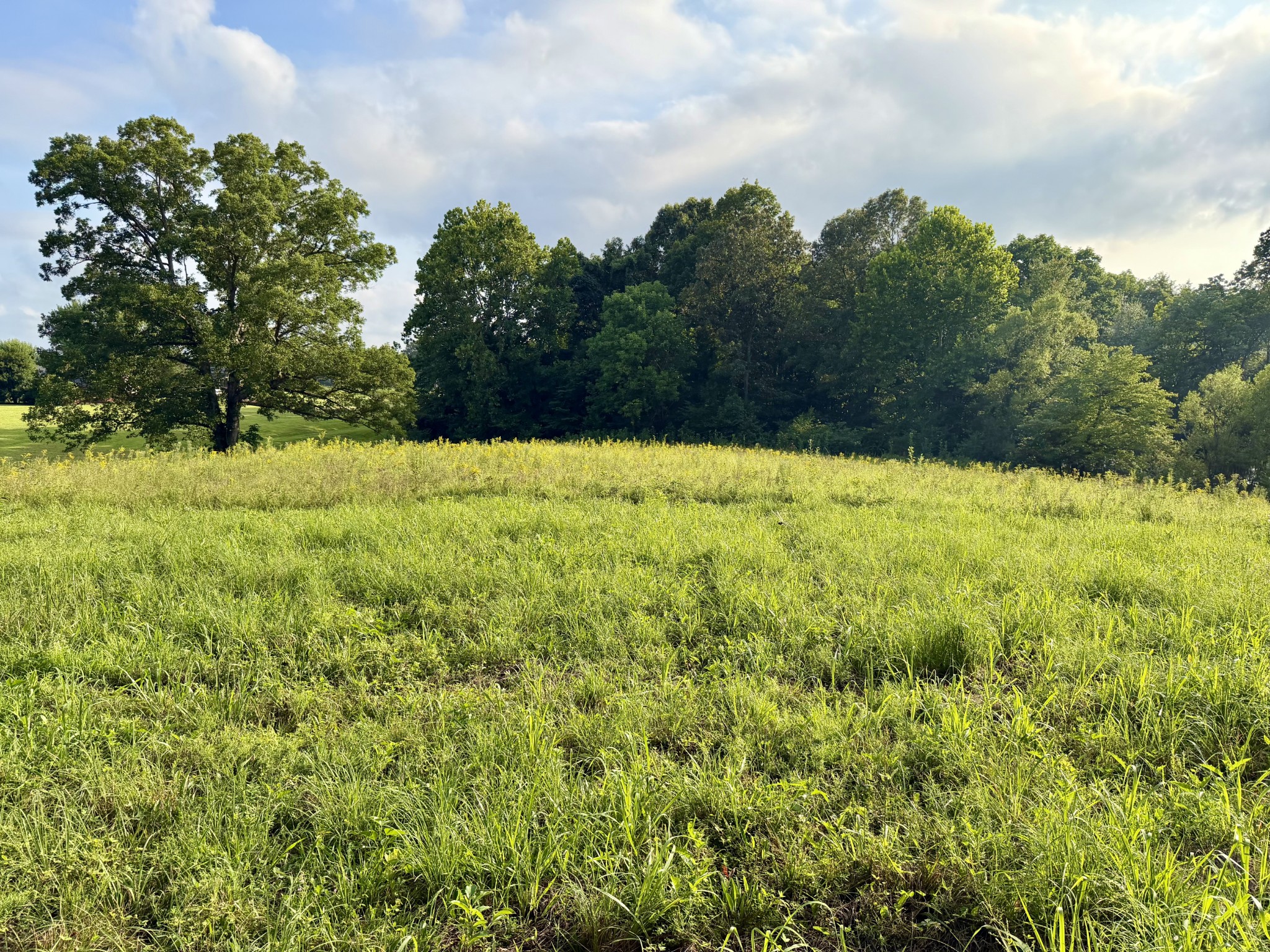 669 Houston Fielder Rd