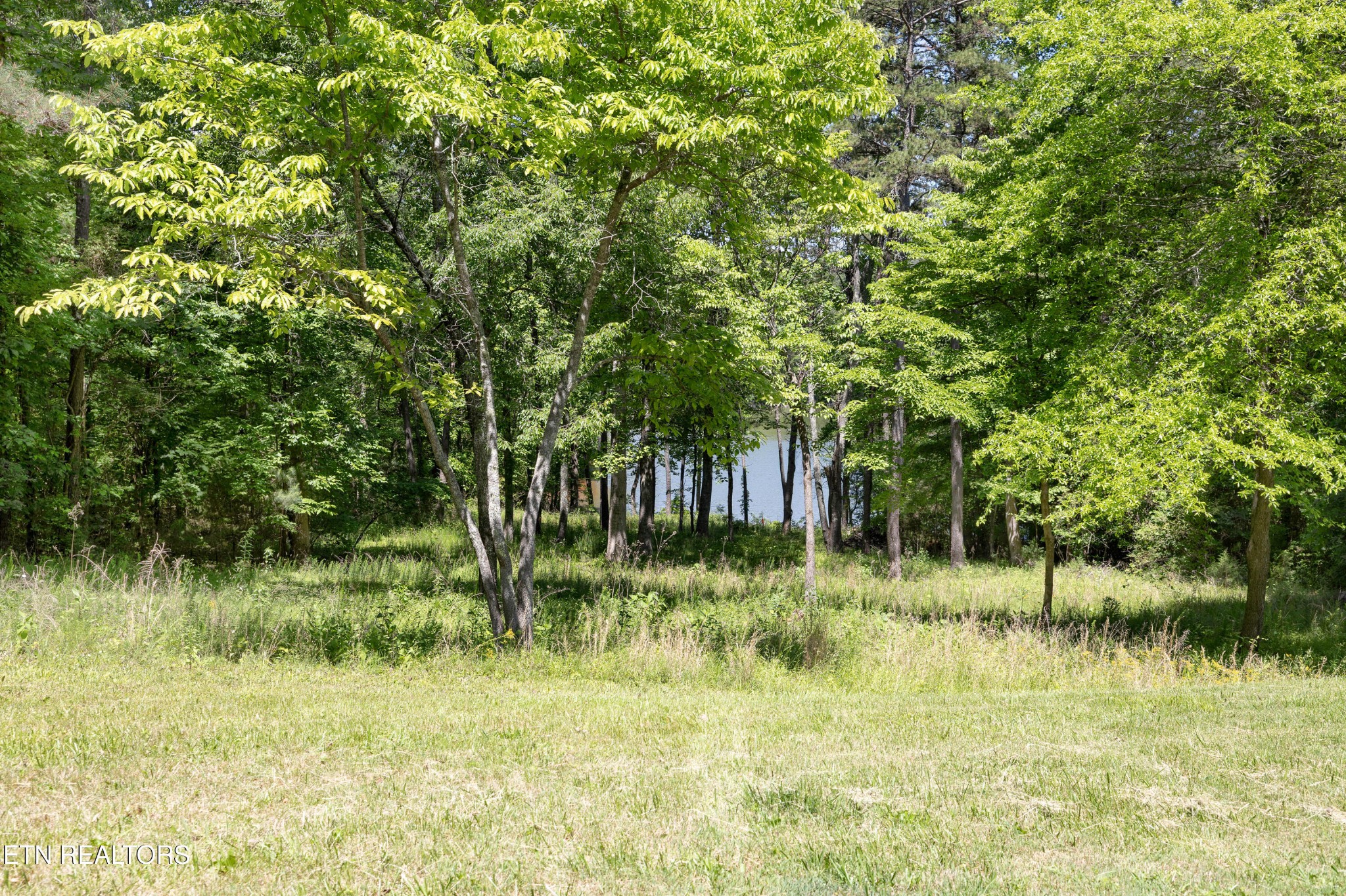 772 Wood Duck Drive
