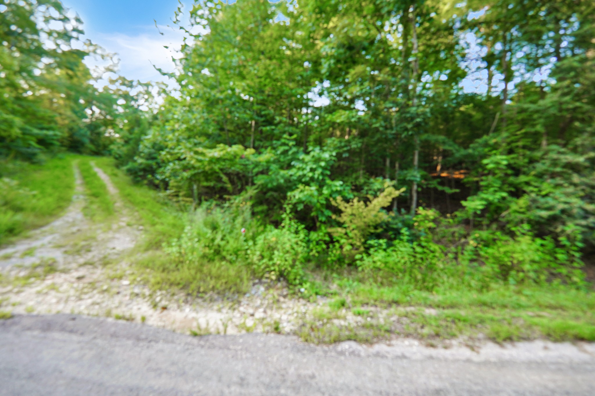 4 Cox Hollow Road