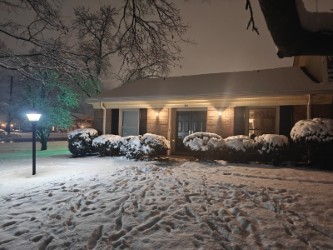 Photo 4