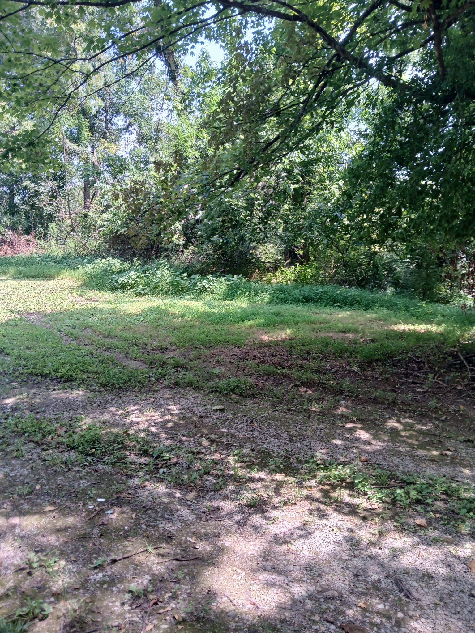 8729 Hester Beasley Rd