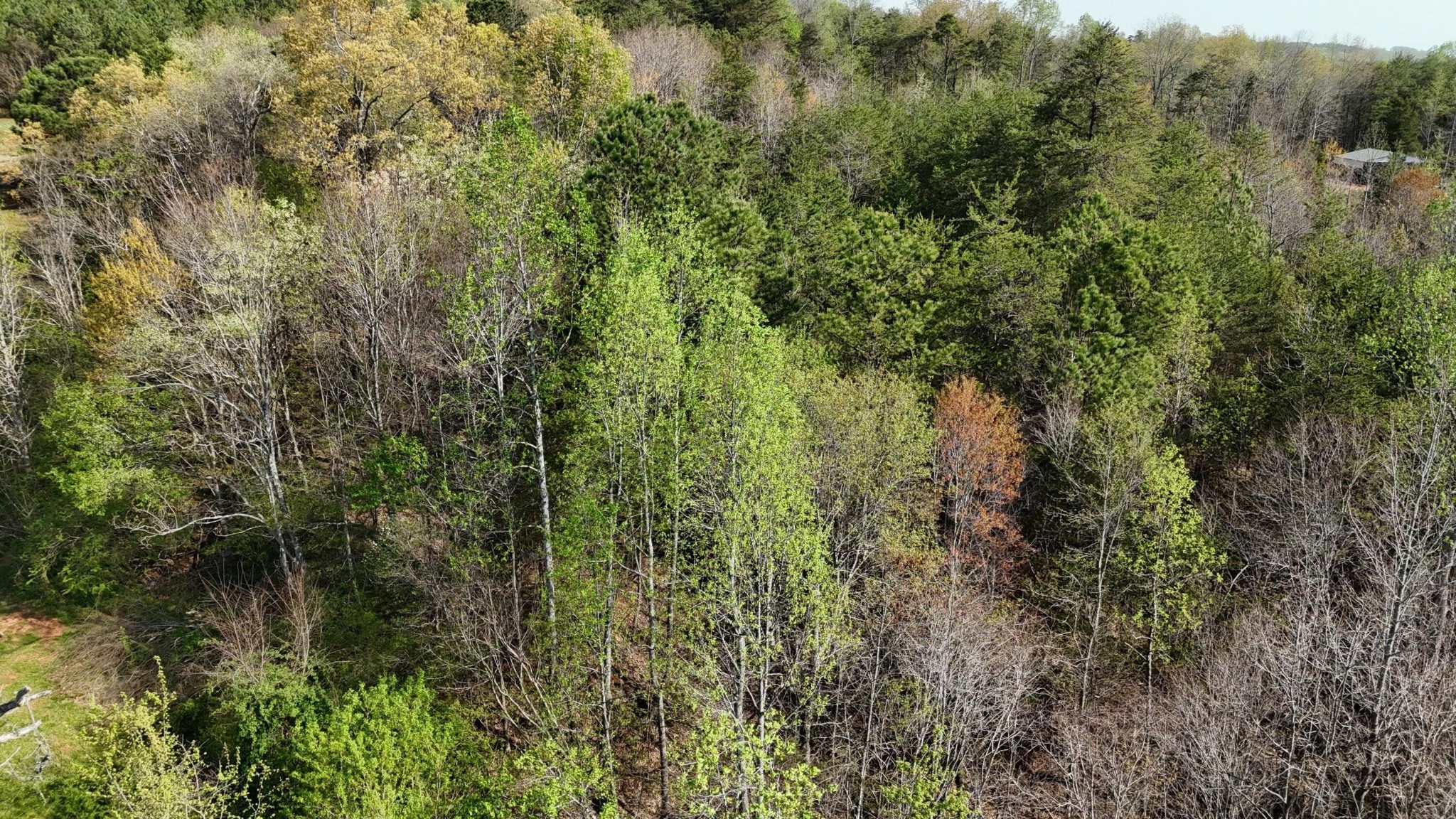 0 County Road 675