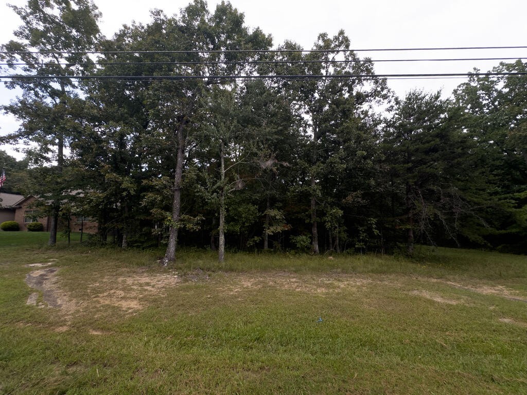217 Westchester Dr
