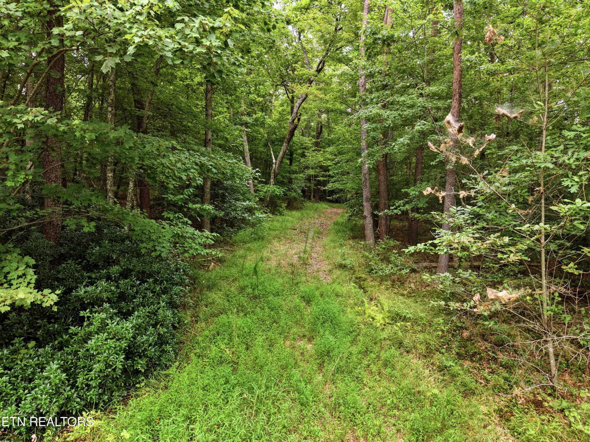 574 River Rd