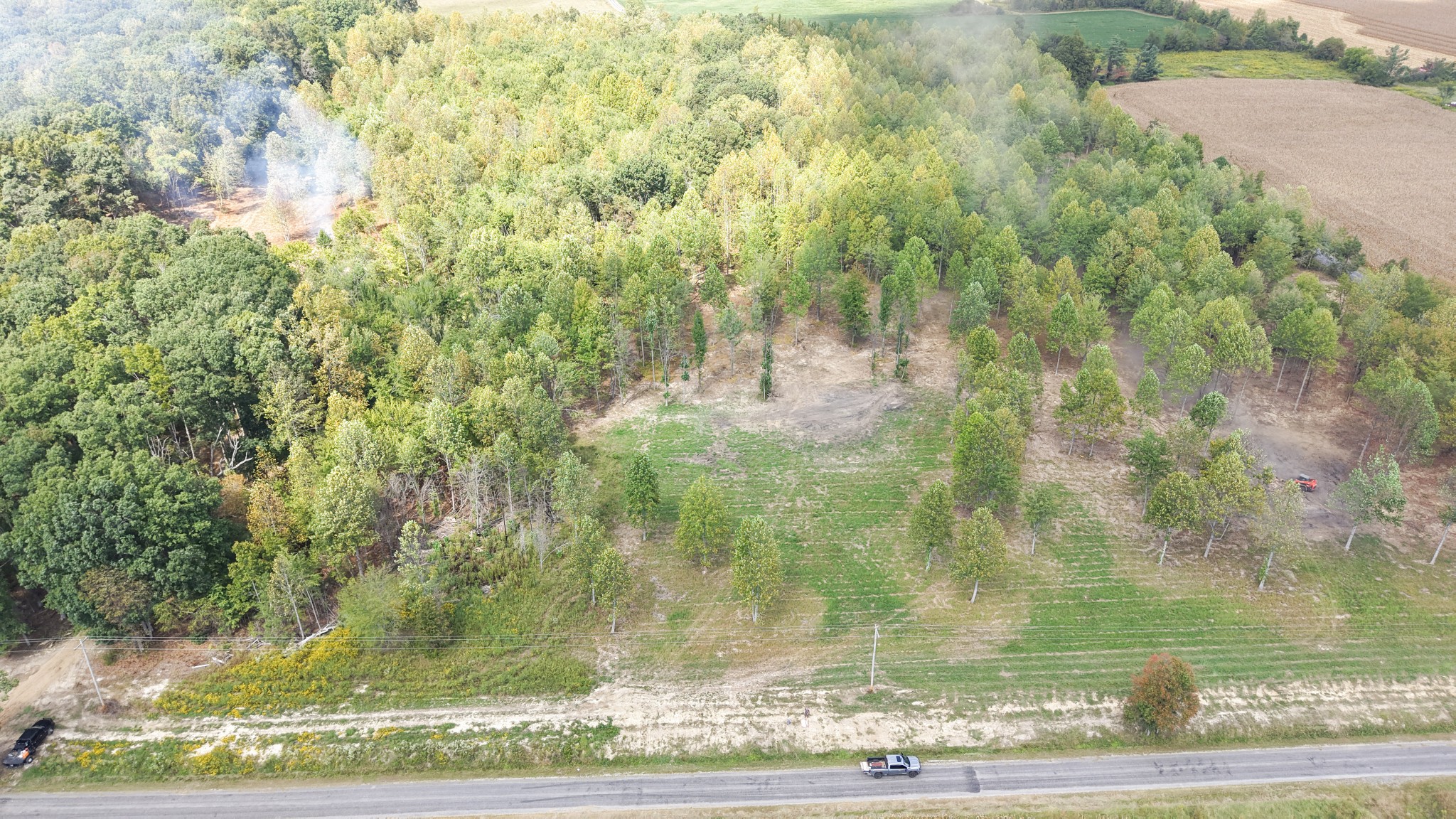 Photo 4
