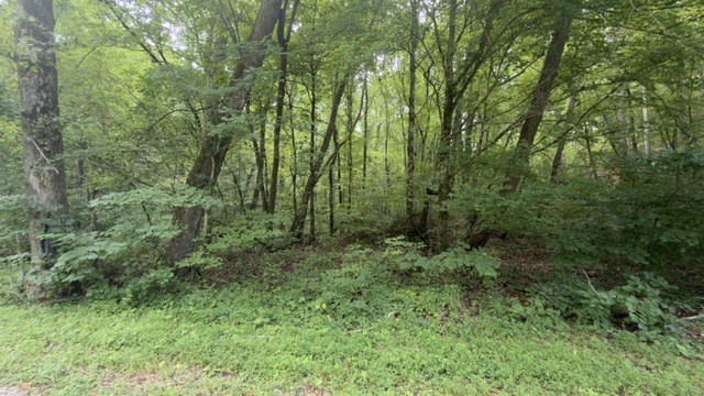 0 Brush Creek Rd