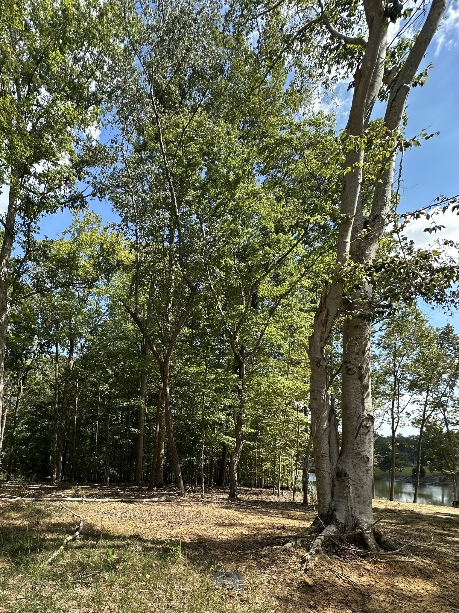 33 Heron Point