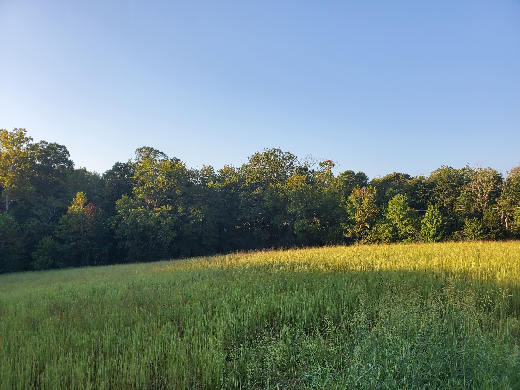 2242 Shelton Ferry Rd