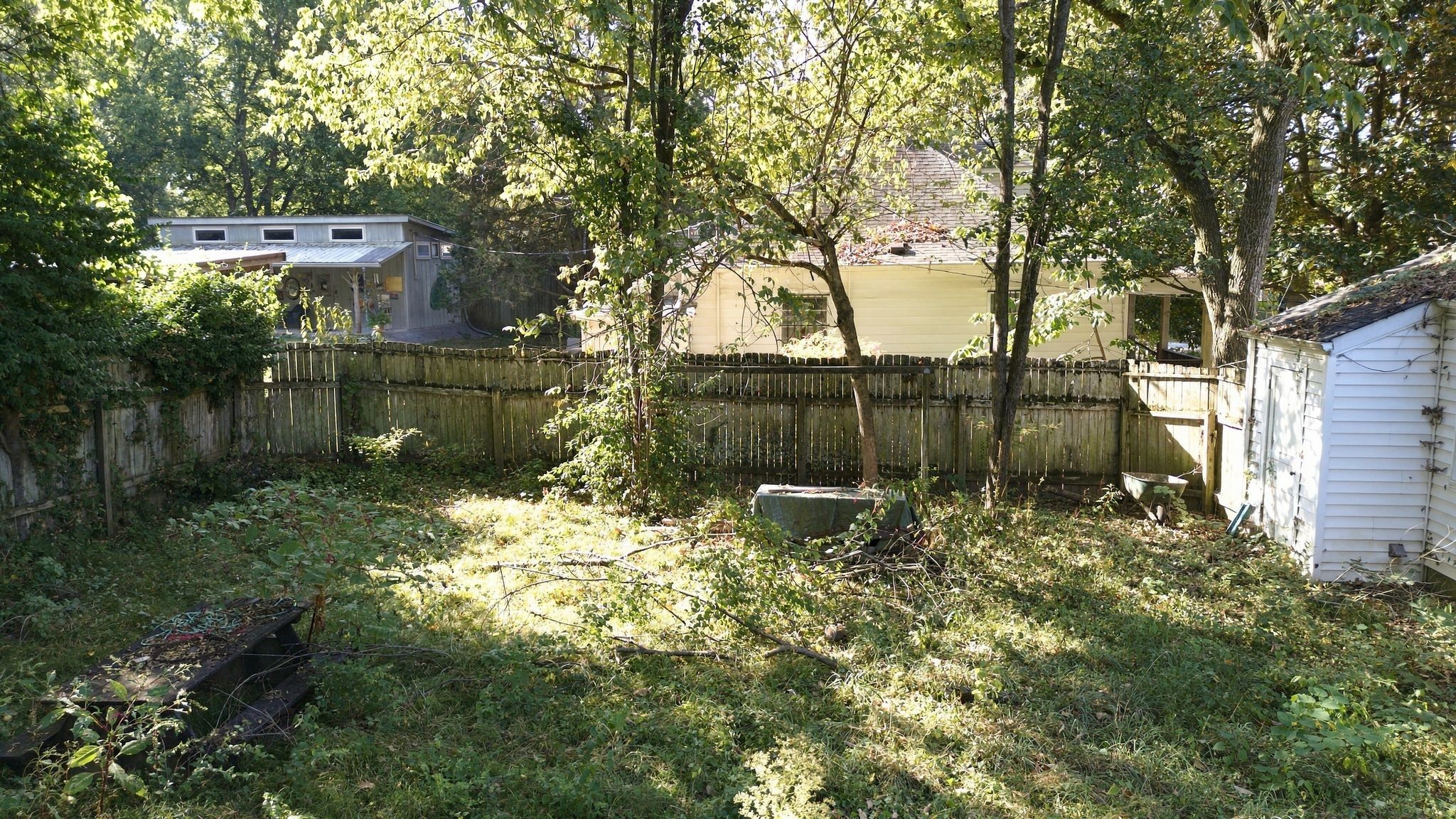 Photo 4