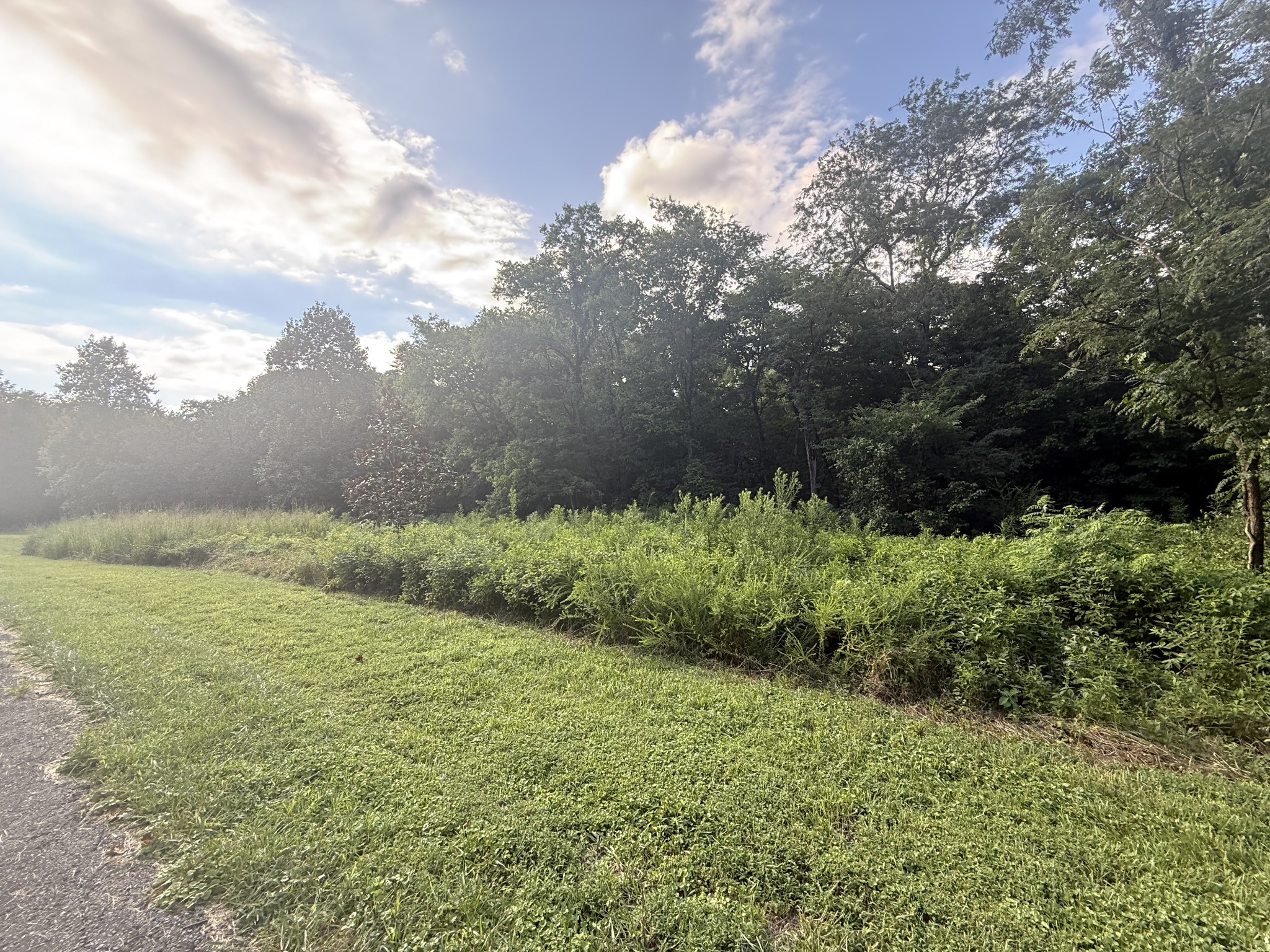 0 Willow Hollow Rd