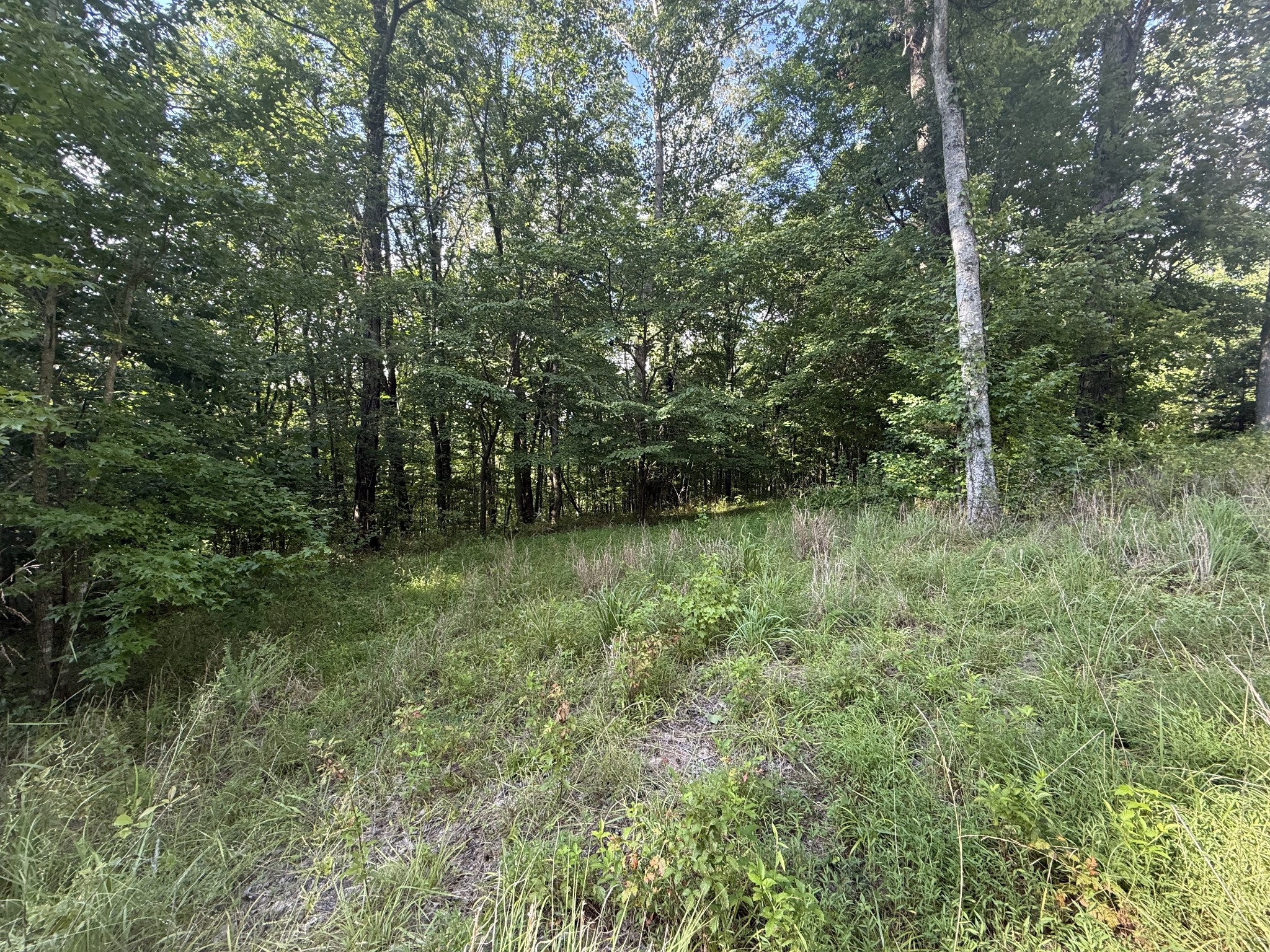 0 Willow Hollow Rd