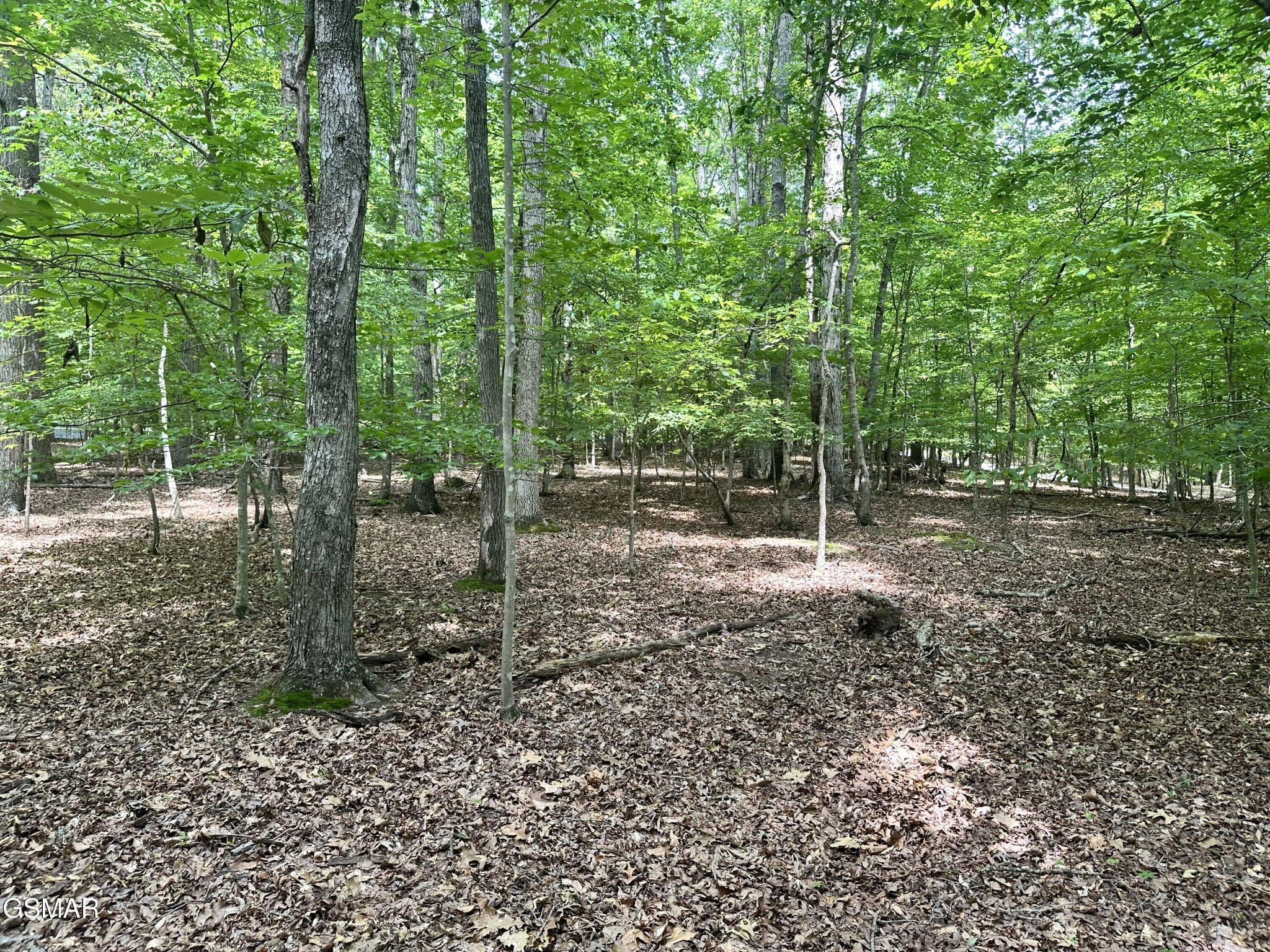 8 Woods Ridge Road